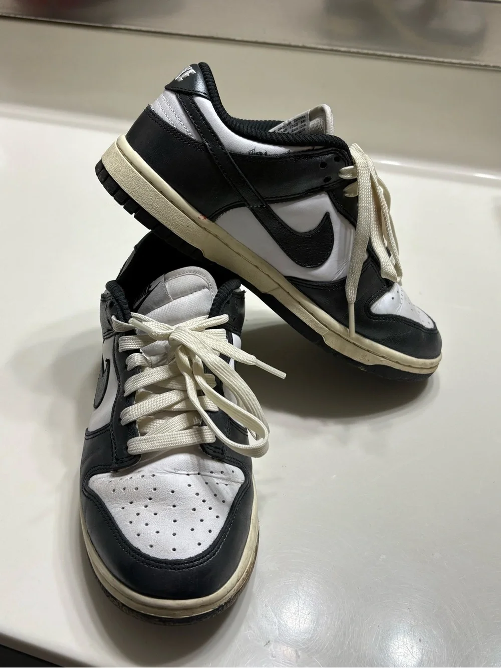 Nike Black and White Low-Top Sneakers Vintage Panda Dunks
